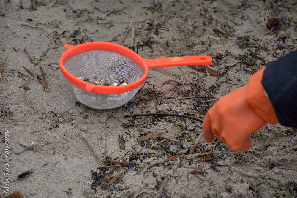 The volunteers to collect the pellets on the beaches of Galicia use strainers, buckets, gloves The volunteers to collect the pellets on the beaches of Galicia use strainers, buckets, gloves