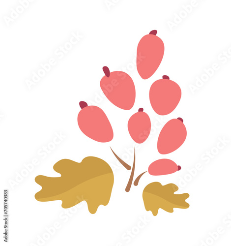 Vector berry. Branch with berries. Organic food. Autumn element for decoration. Autumn element illustration. Cartoon style. Decoration for any design.