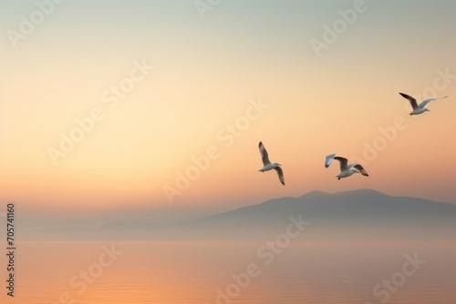  a flock of seagulls flying over a body of water with a mountain in the background in the early morning hours of a foggy day or early morning.