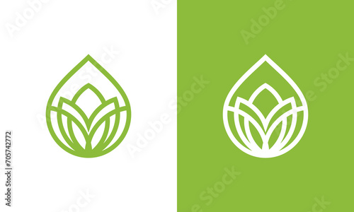mandala logo design vector