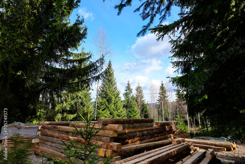 Stages of wood assembly of wooden log house at a construction base into the forest.