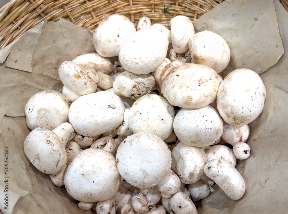 choosing champignons for grilling at the grocery store choosing champignons for grilling at the grocery store