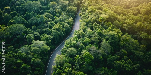 aerial view of windy drive on the forest green road