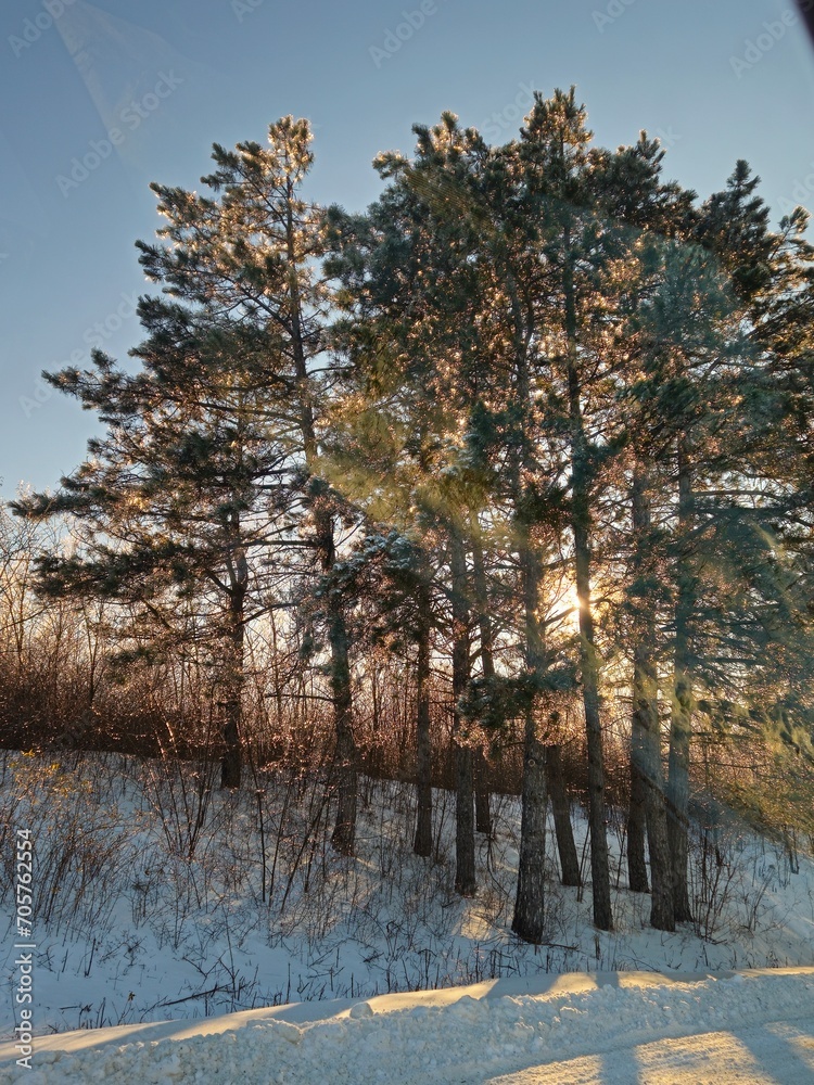 Obraz premium reflection in water