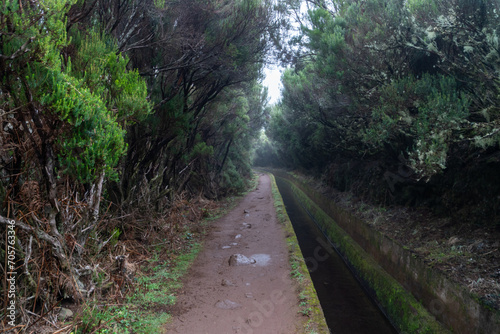 Levada trail on Madeira on a rainy day