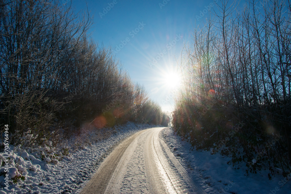 Einsame Straße umsäumt von hohen Hecken in Schleswig-Holstein an einem kalten Wintertag