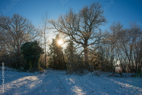 Winter Sonne - Schnee in Schleswig-Holstein