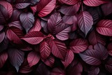  a bunch of purple leaves that are on top of a bed of red and purple leaves that are on top of a bed of red and purple leaves that are on top of the bed of purple leaves.