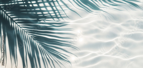 palm leaf shadow on abstract white sand beach
