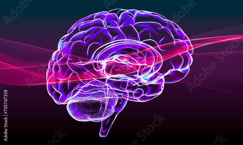 Fototapeta Naklejka Na Ścianę i Meble -  Section of a brain seen in profile, parts of the brain. Degenerative diseases, Parkinson, synapses, neurons, Alzheimer’s. Human anatomy, brain scan. 3d render