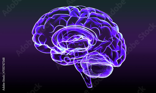 Section of a brain seen in profile, parts of the brain. Degenerative diseases, Parkinson, synapses, neurons, Alzheimer’s. Human anatomy, brain scan. 3d render