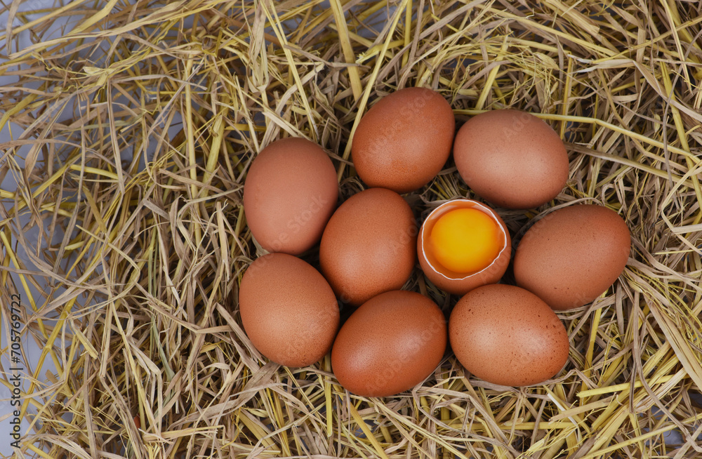 The chicken eggs on the straw background . Pile of chicken eggs The chicken eggs on the straw background . Pile of chicken eggs