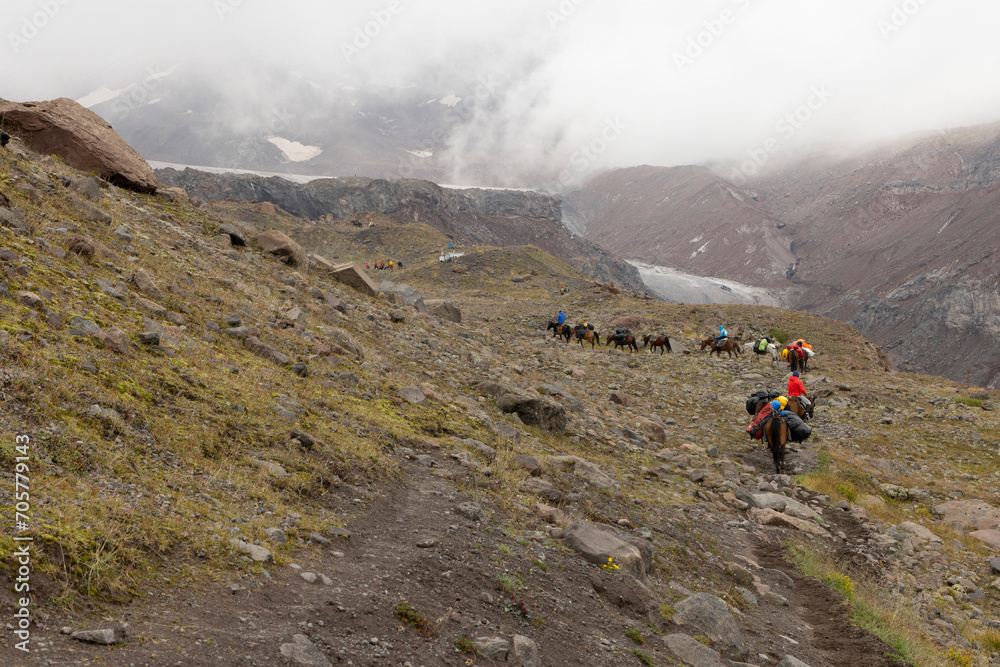 Landscape of pack horses carrying luggage for tourists on Mount Kazbegi in Caucasus mountains