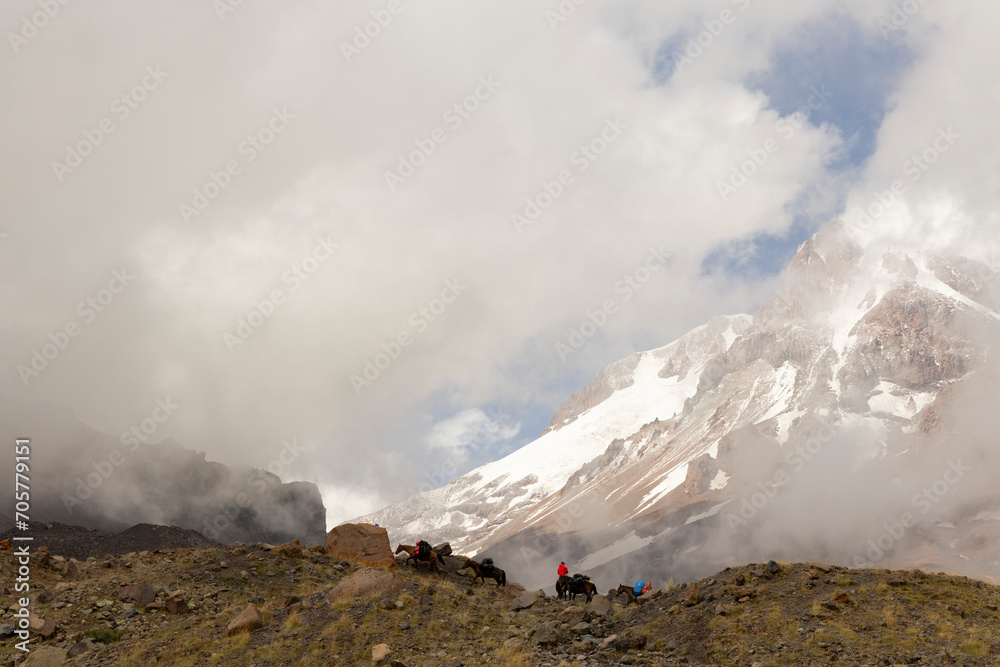 Horse caravan with luggage on mount Kazbek in Gergeti path to summit in Georgia Caucasus mountains