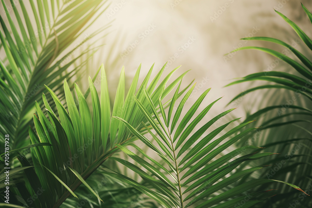 Palm Sunday concept: Green palm leaves on blurred background - obrazy, fototapety, plakaty 