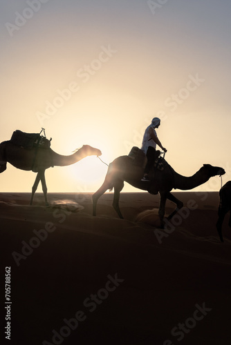 Silhouette of a camel in desert