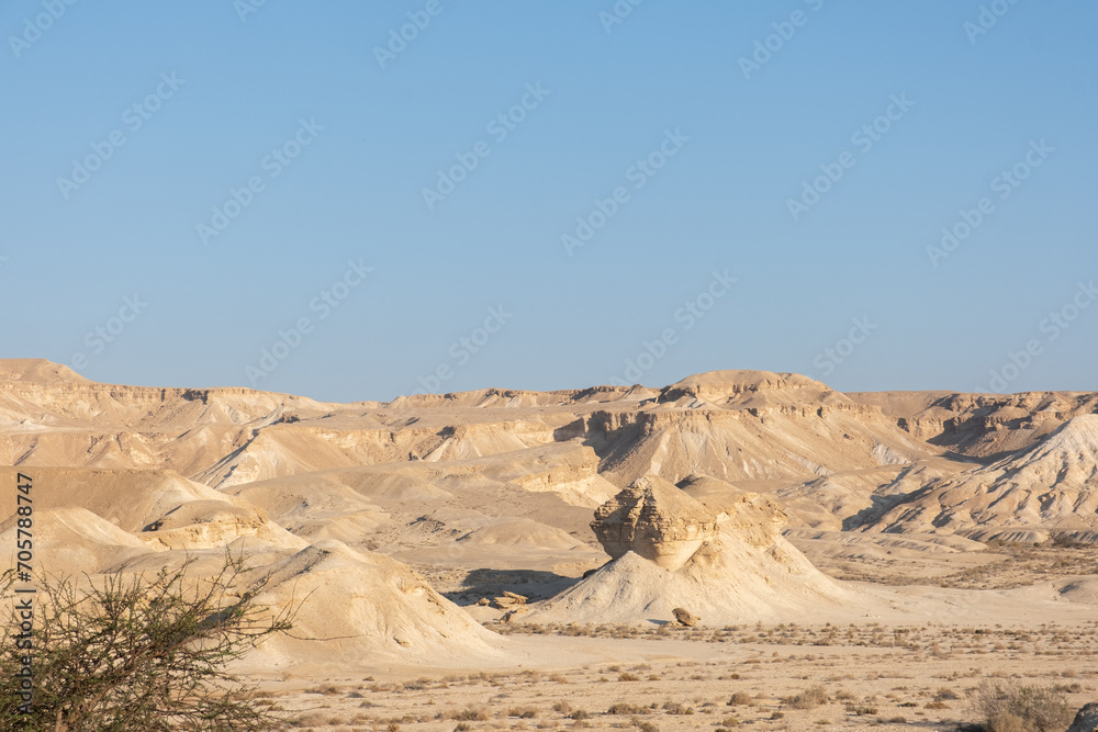 Negev Desert landscape in southern Israel during the summer. Desert volcanic rocks nature