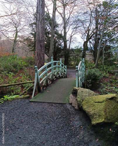 Ireland. A small old bridge over a river in the park.