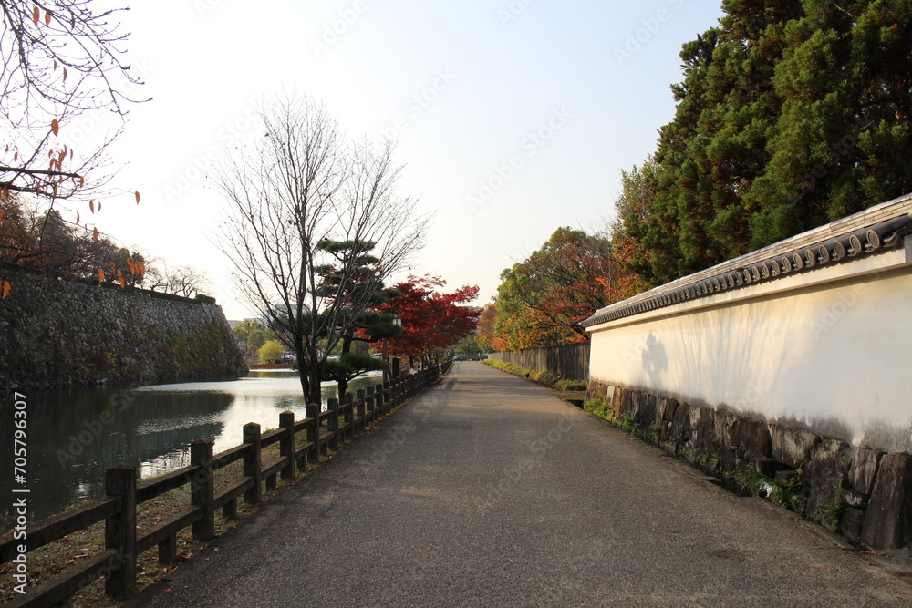 Himeji Castle moat and autumn leaves in the early morning in Himeji, Japan