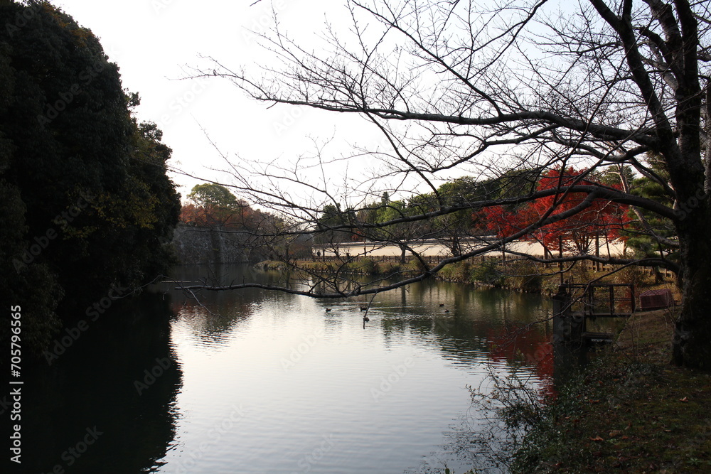 Himeji Castle moat and autumn leaves in the early morning in Himeji, Japan