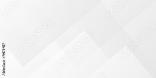Fototapeta Naklejka Na Ścianę i Meble -  Modern Abstract white lines futuristic triangle technology backdrop. white light grey background. Space design concept. Decorative web layout or poster, banner. White grey background vector design.