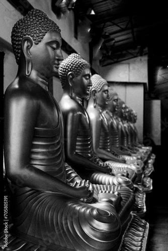 The Buddha Satutes in Meditation 