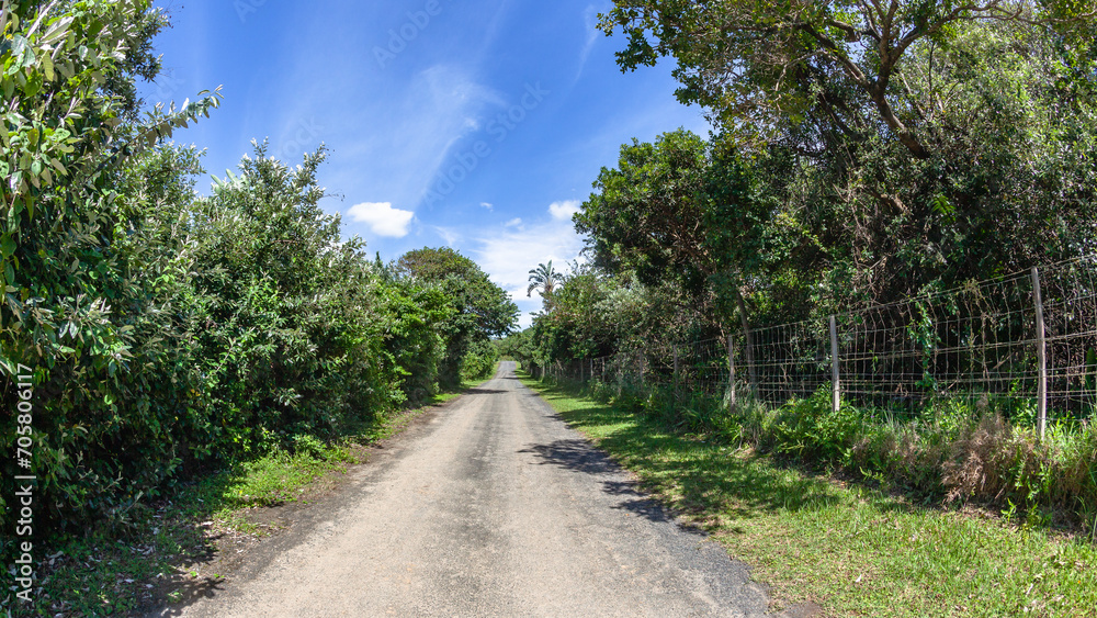 Long Straight Road Tropical Trees Rural Landscape Long Straight Road Tropical Trees Rural Landscape