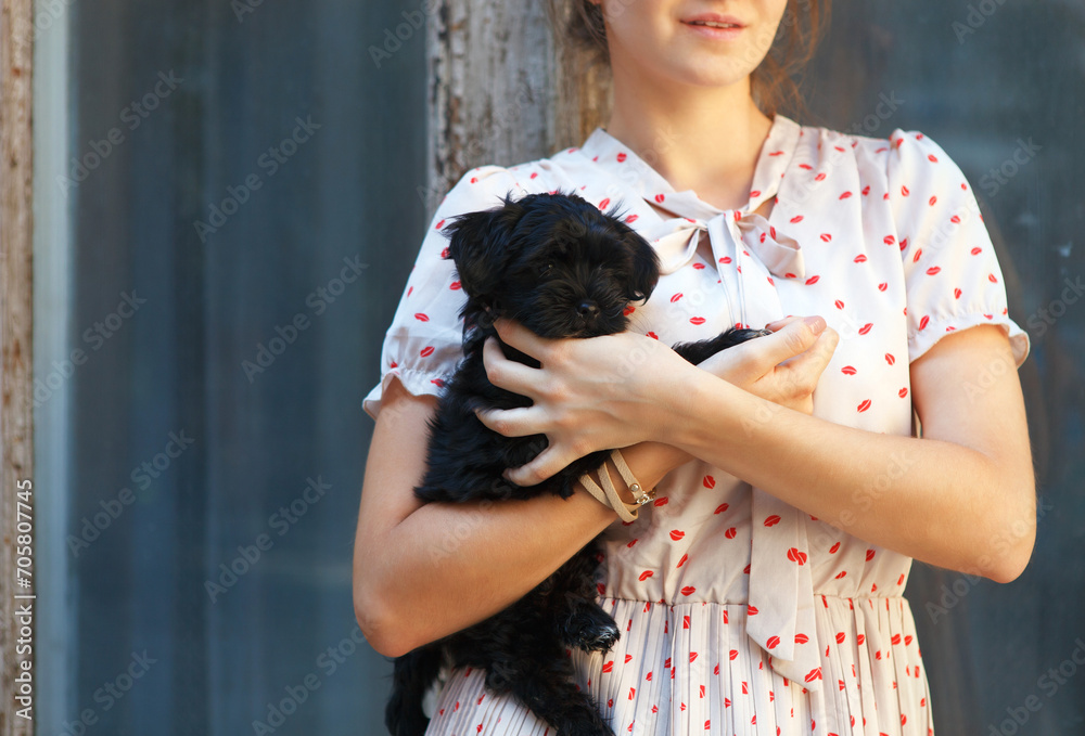 Young brunette woman hugging her lap dog puppy Young brunette woman hugging her lap dog puppy
