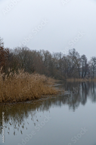 Winterimpressionen aus dem UNESCO Biosphärenreservat Oberlausitzer Heide- Teichlandschaft- Teichgebiet Milkel 3