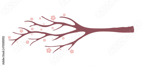 Plum, apple tree branch with flowers illustration. Hand drawn cartoon vector, isolated. Flat style design. Traditional Asian holiday Lunar New Year element, plant, floral, bloom, blossom.
