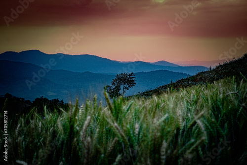 sunrise in the mountains