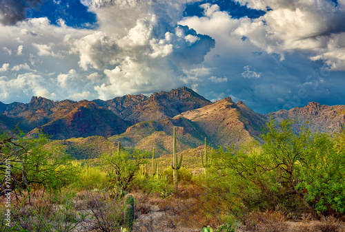 Santa Catalina Mountains in Sabino Canyon photo