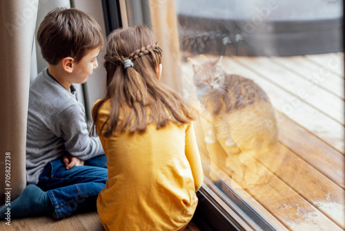 Cute children in casual clothes are sitting on the floor near the panoramic window in the living room and playing with the cat outside. Happy boy sincerely smiles at little girl.  photo