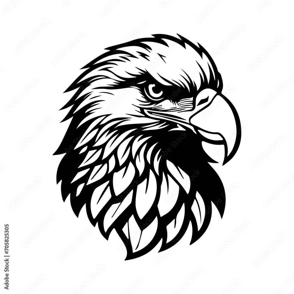 eagle head mascot logo drawing illustration design