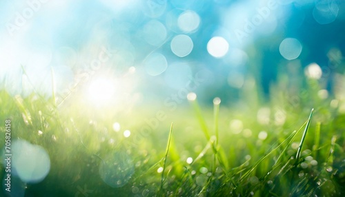spring background with grass