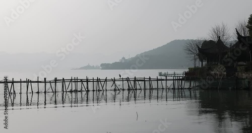 herons birds stay focused on possible fishing in Dongqian Lake, Ningbo, Zhejiang, China photo