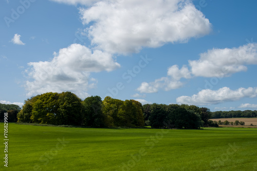 landscape with trees clouds and blue sky on an Autumn day in the countryside