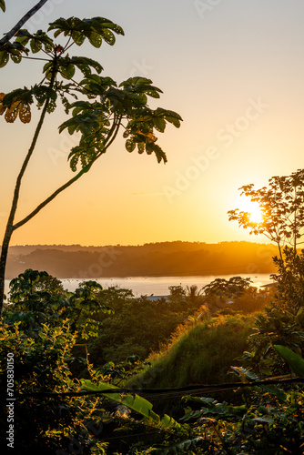 Sunset with trees silhouette pretty orange and ocean water lake tropical jungle Costa Rica