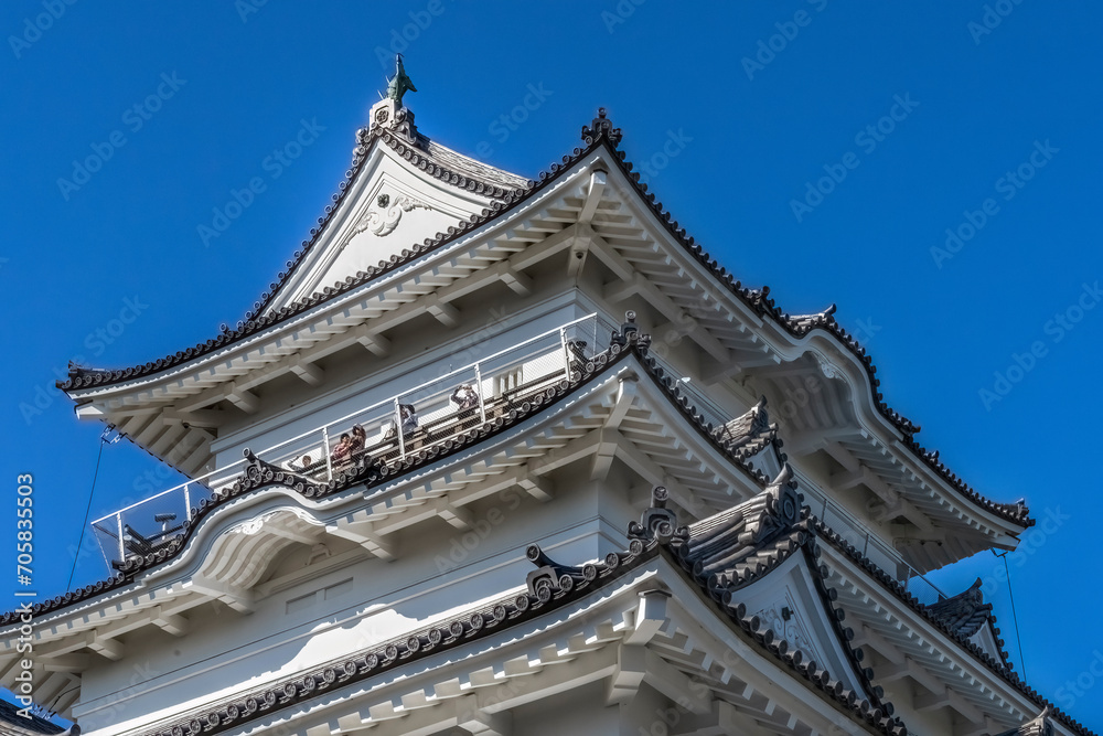 Colorful Castle Odawara Kanagawa Japan