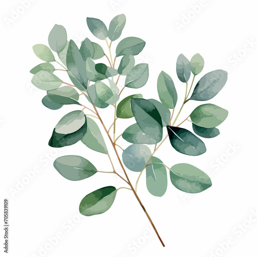 Watercolor vector illustration of a wreath with green eucalyptus leaves and flowers.