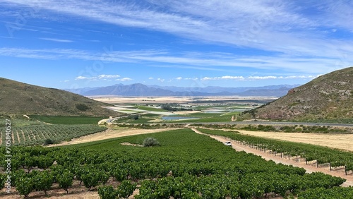 Riebeek Valley, Cape Town, South Africa photo