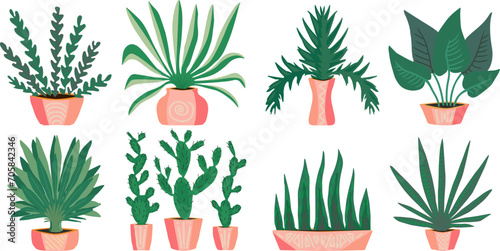 Collection of house plants in slides. Plants in pots. Vector illustration.