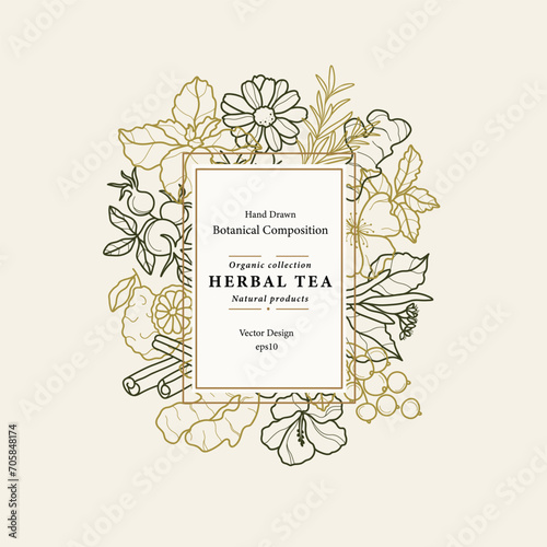 Hand drawn vector herbal tea frame