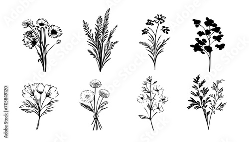 Vector plant set of botanical flowers and herbs. Ink drawings of plants for diy projects, greeting cards, wedding invitations. Isolated hand drawn floral sketch of botany doodle flowers for stationary