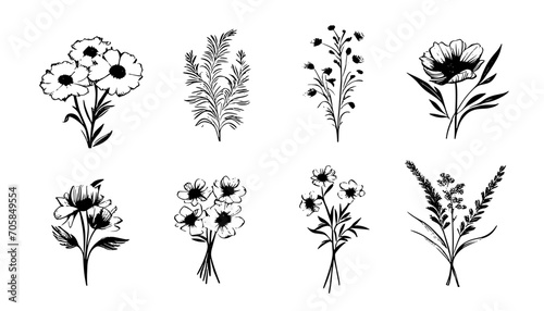 Set of hand drawn wild flower icons. Collection of hand drawn line botanical elements. Vector illustration