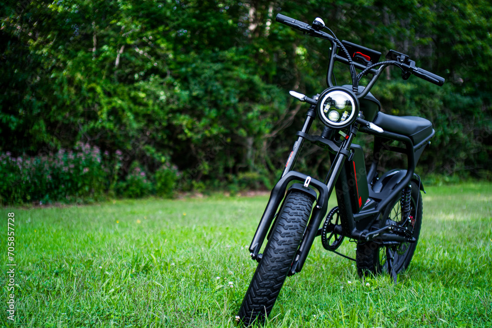 A sleek black electric bike, reminiscent of a moped, stands gracefully in a serene grassy landscape, surrounded by trees A sleek black electric bike, reminiscent of a moped, stands gracefully in a serene grassy landscape, surrounded by trees