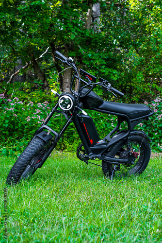 A sleek black electric bike, reminiscent of a moped, stands gracefully in a serene grassy landscape, surrounded by trees