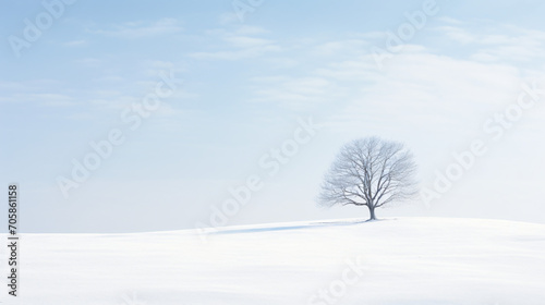 A snowy landscape with vast negative space.