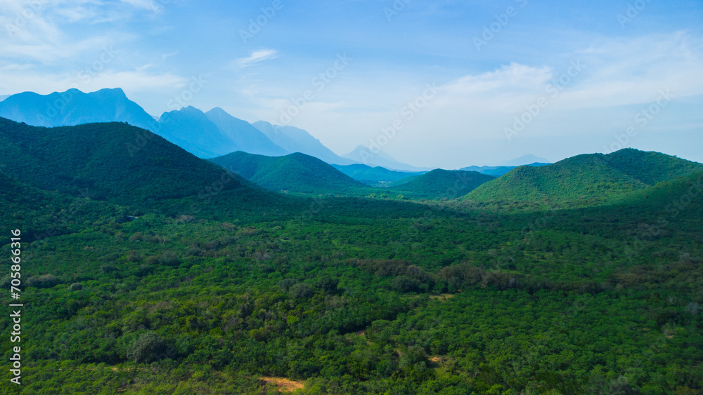 Naklejka premium landscape with mountains