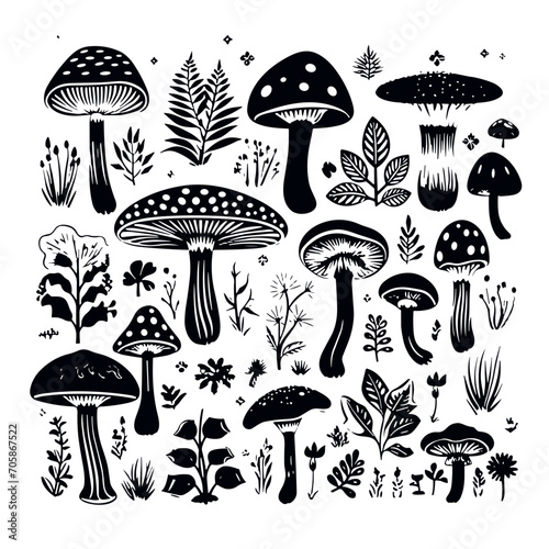 mushroom svg, mushroom png, mushroom illustration, mushroom vector, mushroom, mushroom clipart, jungle svg, forest, t shirt ,mushroom, fungus, nature, vector, food, illustration, autumn, isolated